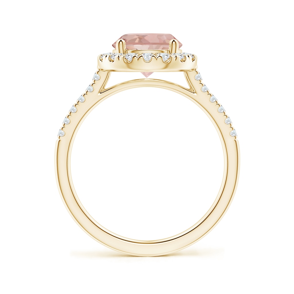 8mm AAA Round Morganite Halo Ring with Diamond Accents in Yellow Gold - side_1