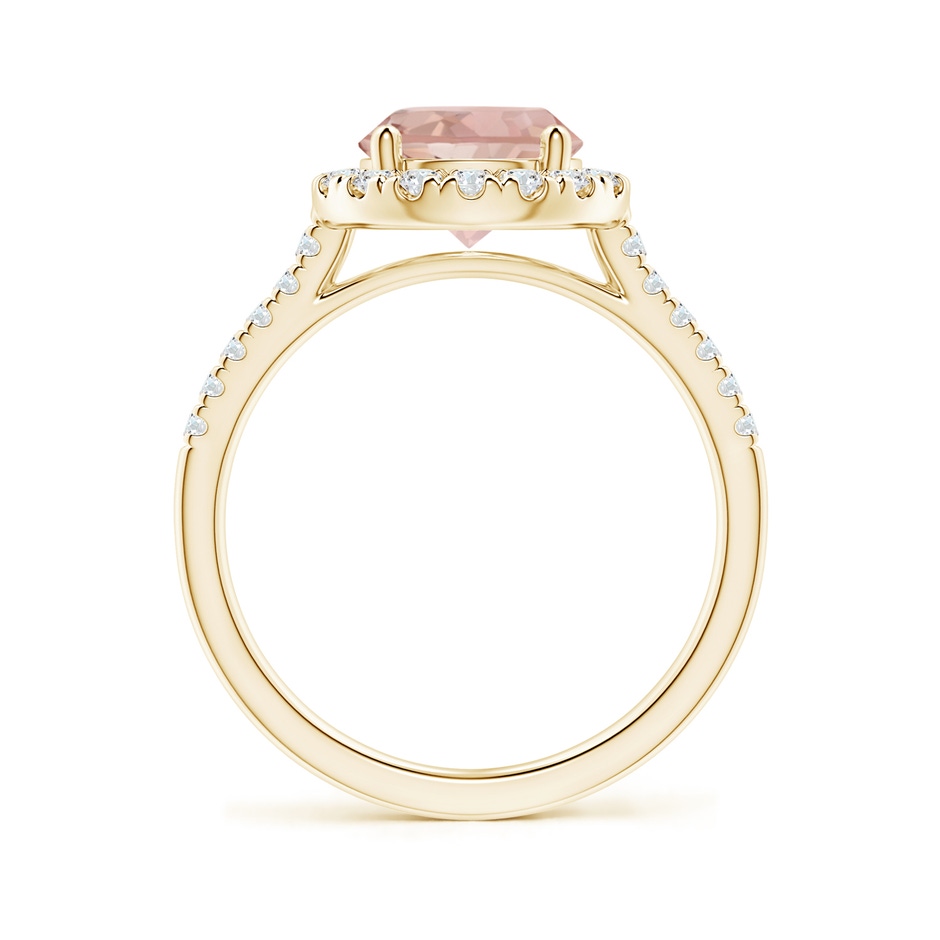 8mm AAA Round Morganite Halo Ring with Diamond Accents in Yellow Gold side-1