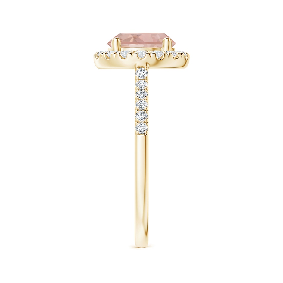 8mm AAA Round Morganite Halo Ring with Diamond Accents in Yellow Gold side-2