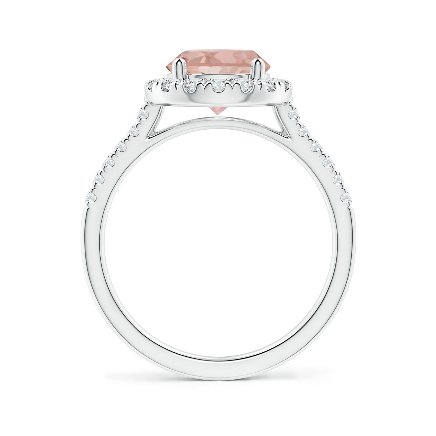 8mm AAAA Round Morganite Halo Ring with Diamond Accents in P950 Platinum