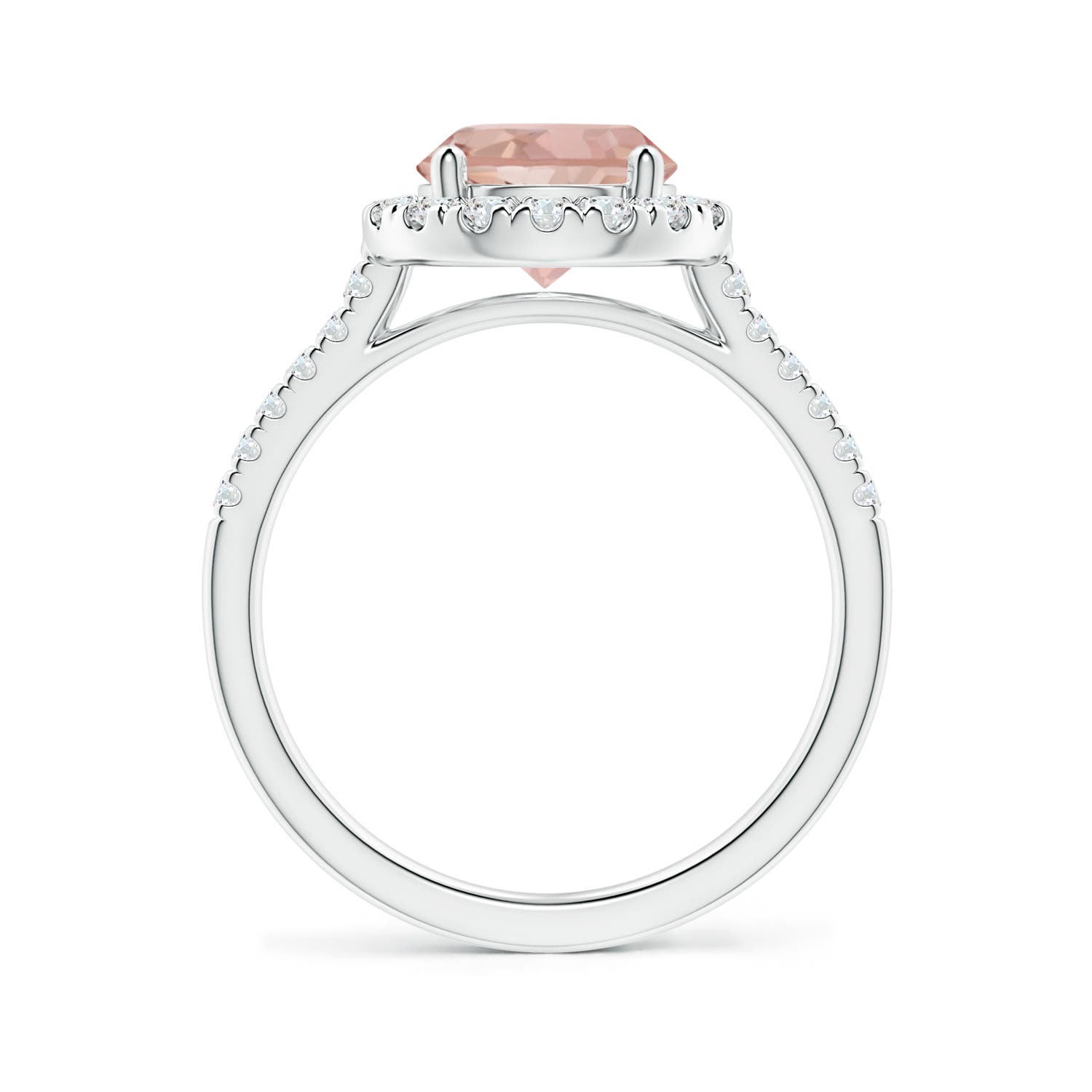 AAAA - Morganite / 1.97 CT / 14 KT White Gold