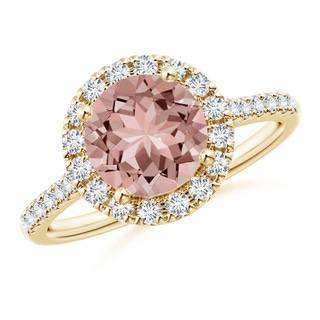 Round AAAA Morganite