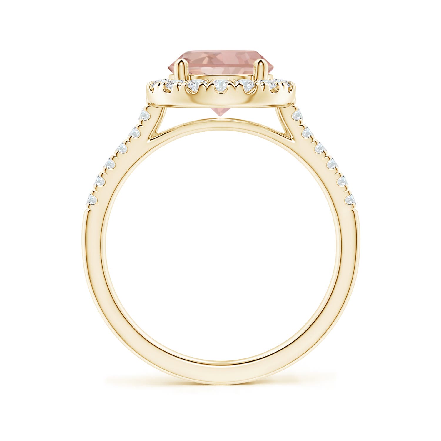 AAAA - Morganite / 1.97 CT / 14 KT Yellow Gold