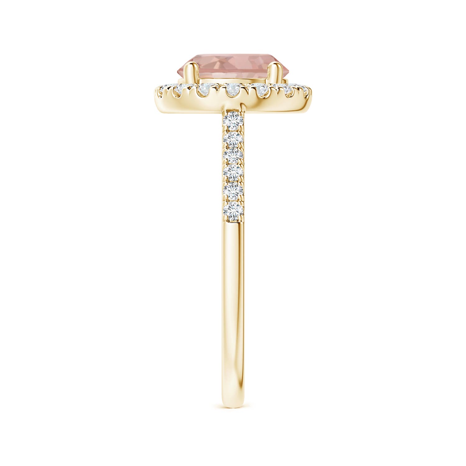 AAAA - Morganite / 1.97 CT / 14 KT Yellow Gold