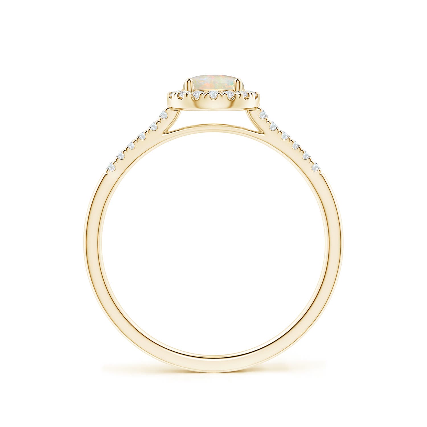 AAAA - Opal / 0.48 CT / 14 KT Yellow Gold