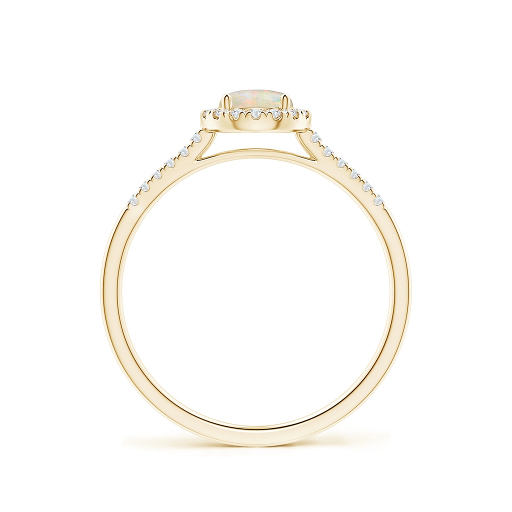 5mm AAAA Round Opal Halo Ring with Diamond Accents in Yellow Gold - side_1