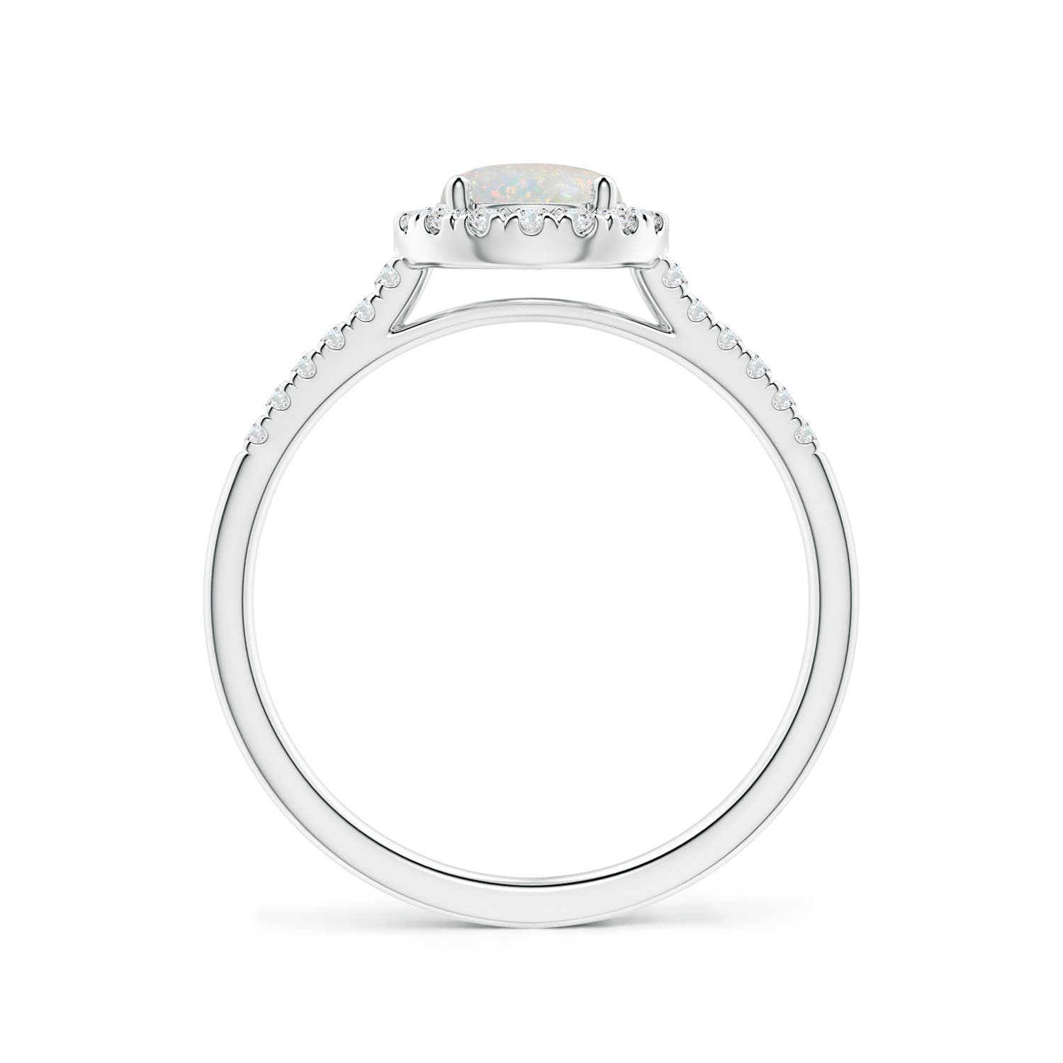 AA - Opal / 0.7 CT / 14 KT White Gold