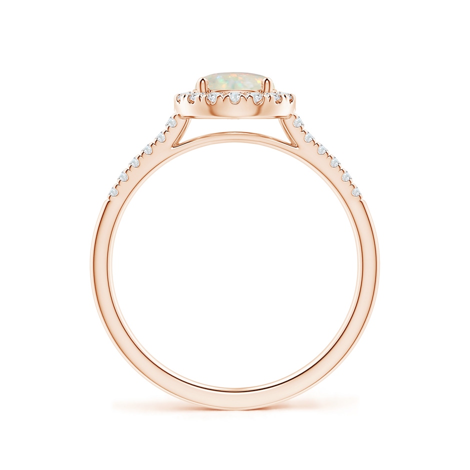 6mm AAA Round Opal Halo Ring with Diamond Accents in Rose Gold side-1
