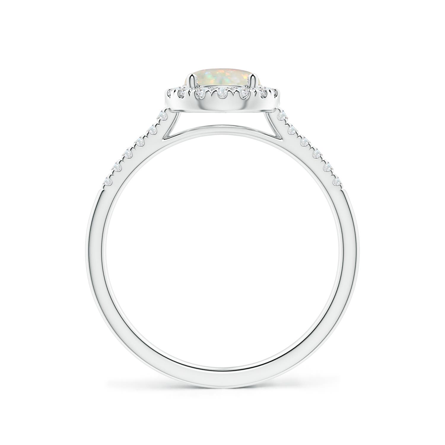 AAA - Opal / 0.7 CT / 14 KT White Gold