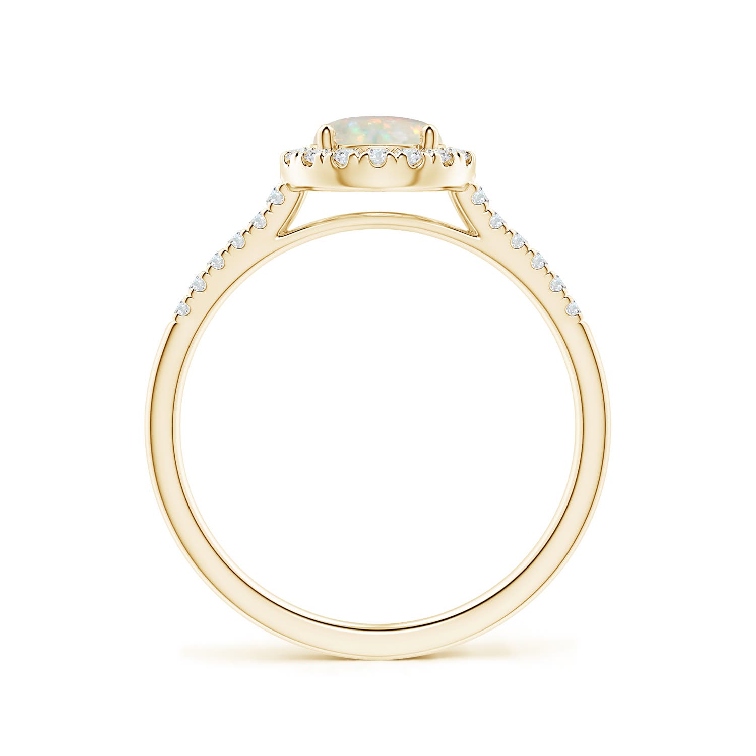 AAA - Opal / 0.7 CT / 14 KT Yellow Gold