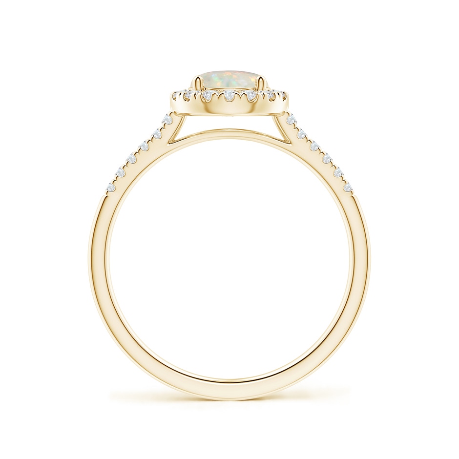 6mm AAA Round Opal Halo Ring with Diamond Accents in Yellow Gold side-1