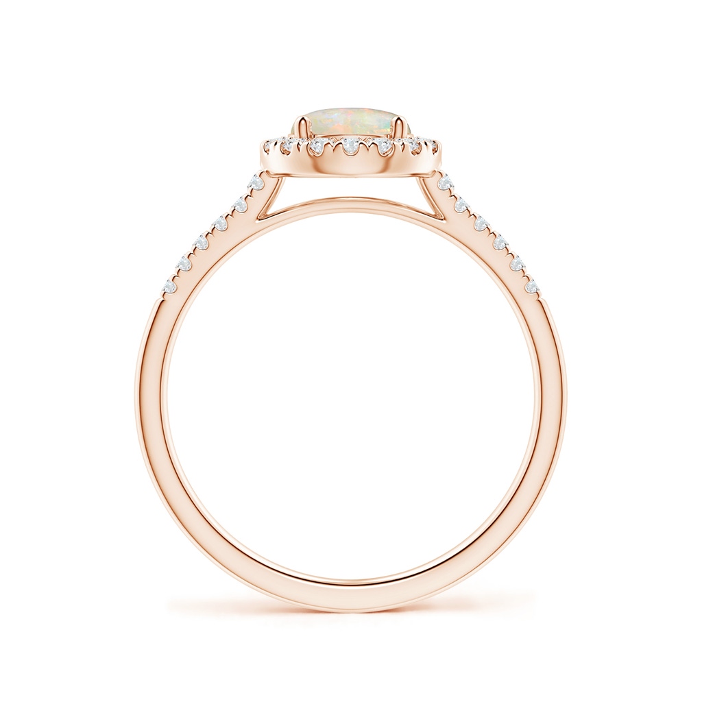 6mm AAAA Round Opal Halo Ring with Diamond Accents in Rose Gold Side-1