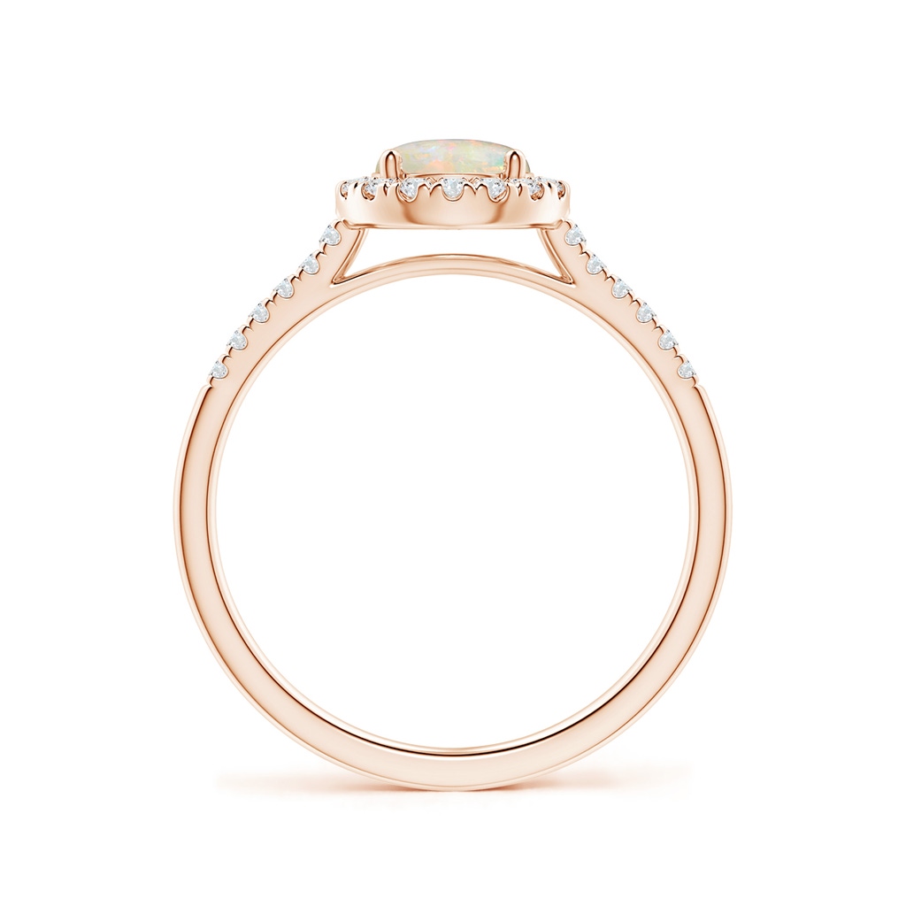 6mm AAAA Round Opal Halo Ring with Diamond Accents in Rose Gold - side_1