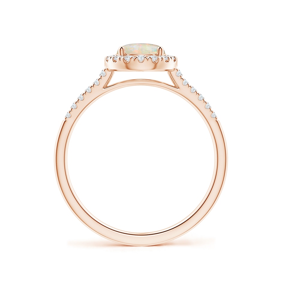 6mm AAAA Round Opal Halo Ring with Diamond Accents in Rose Gold side-1