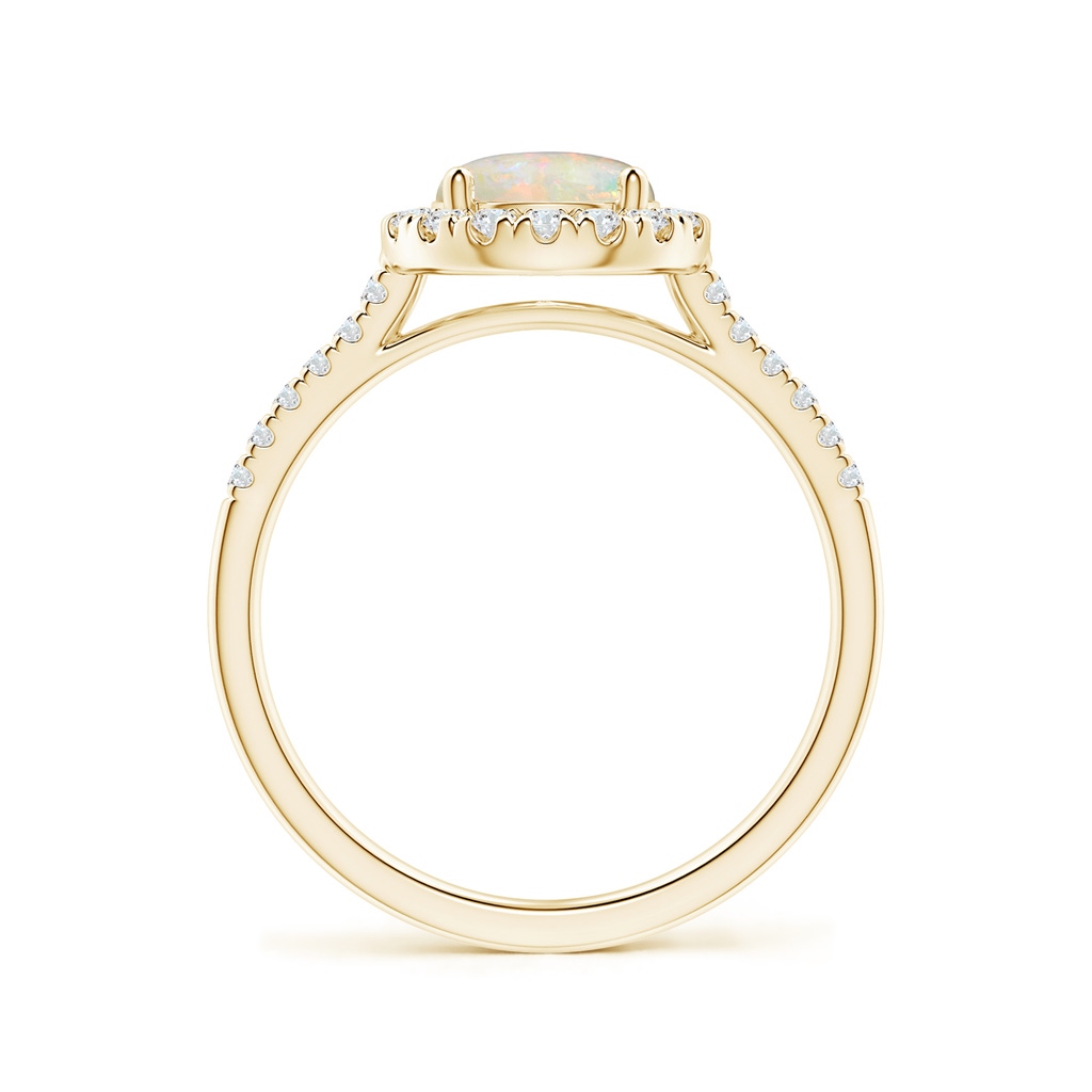 7mm AAAA Round Opal Halo Ring with Diamond Accents in Yellow Gold - side_1