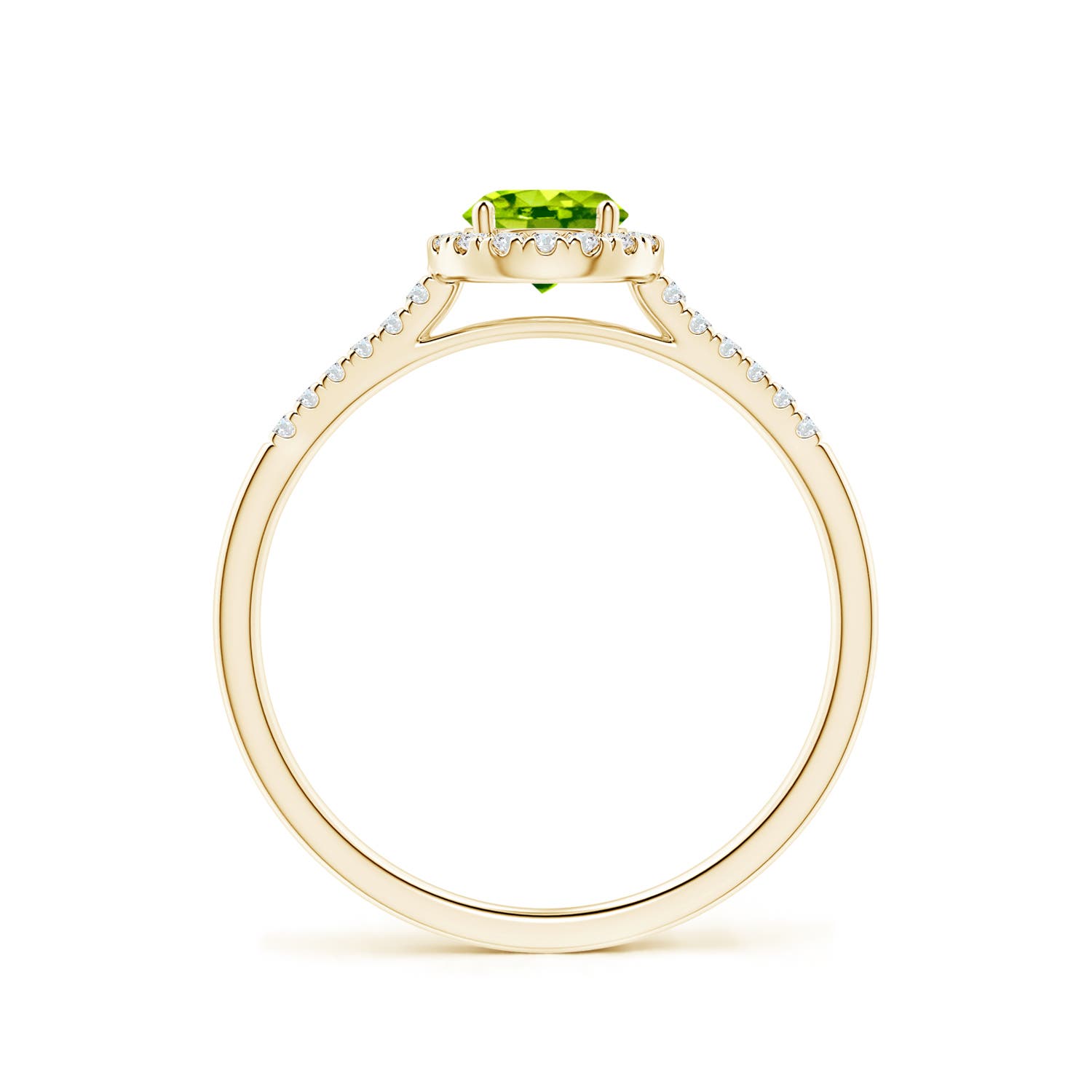 AAA - Peridot / 0.7 CT / 14 KT Yellow Gold