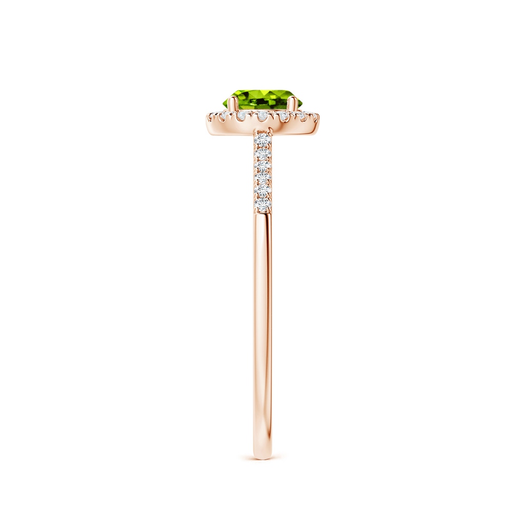 5mm AAAA Round Peridot Halo Ring with Diamond Accents in Rose Gold Side-2