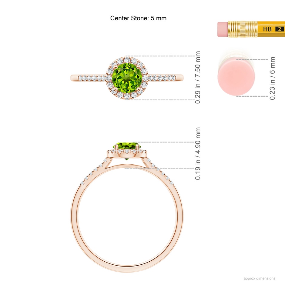 5mm AAAA Round Peridot Halo Ring with Diamond Accents in Rose Gold ruler