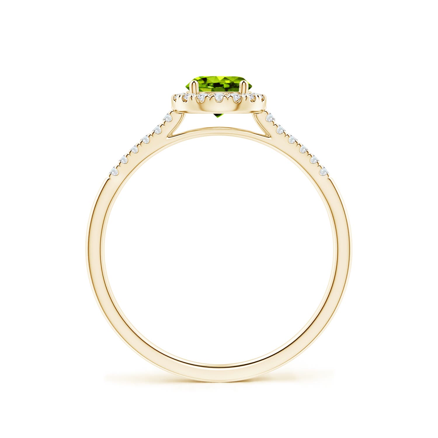 AAAA - Peridot / 0.7 CT / 14 KT Yellow Gold