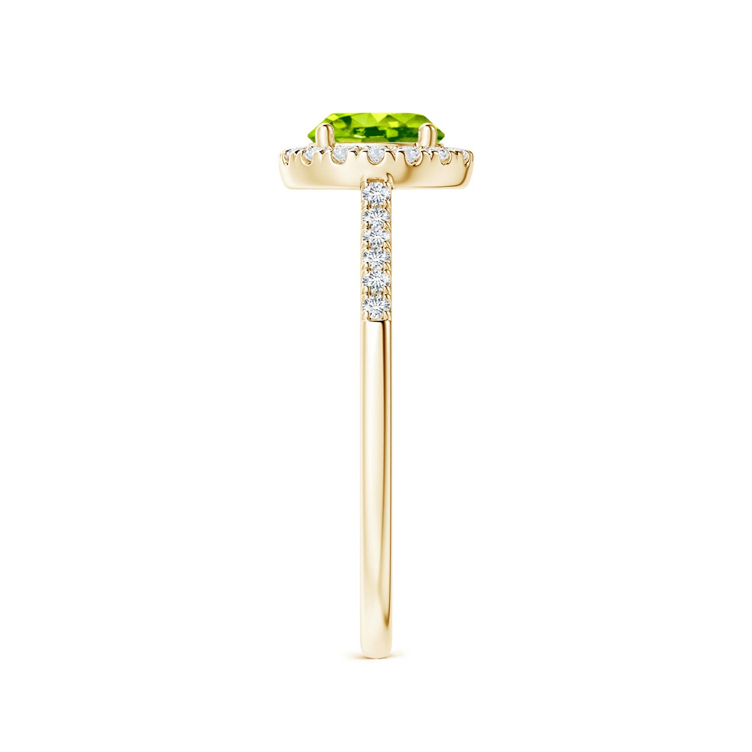 AAA - Peridot / 1.15 CT / 14 KT Yellow Gold