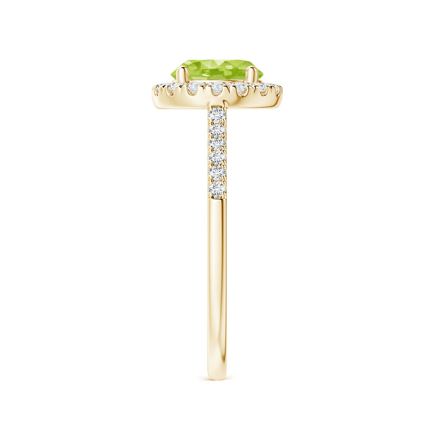 AA - Peridot / 1.69 CT / 14 KT Yellow Gold