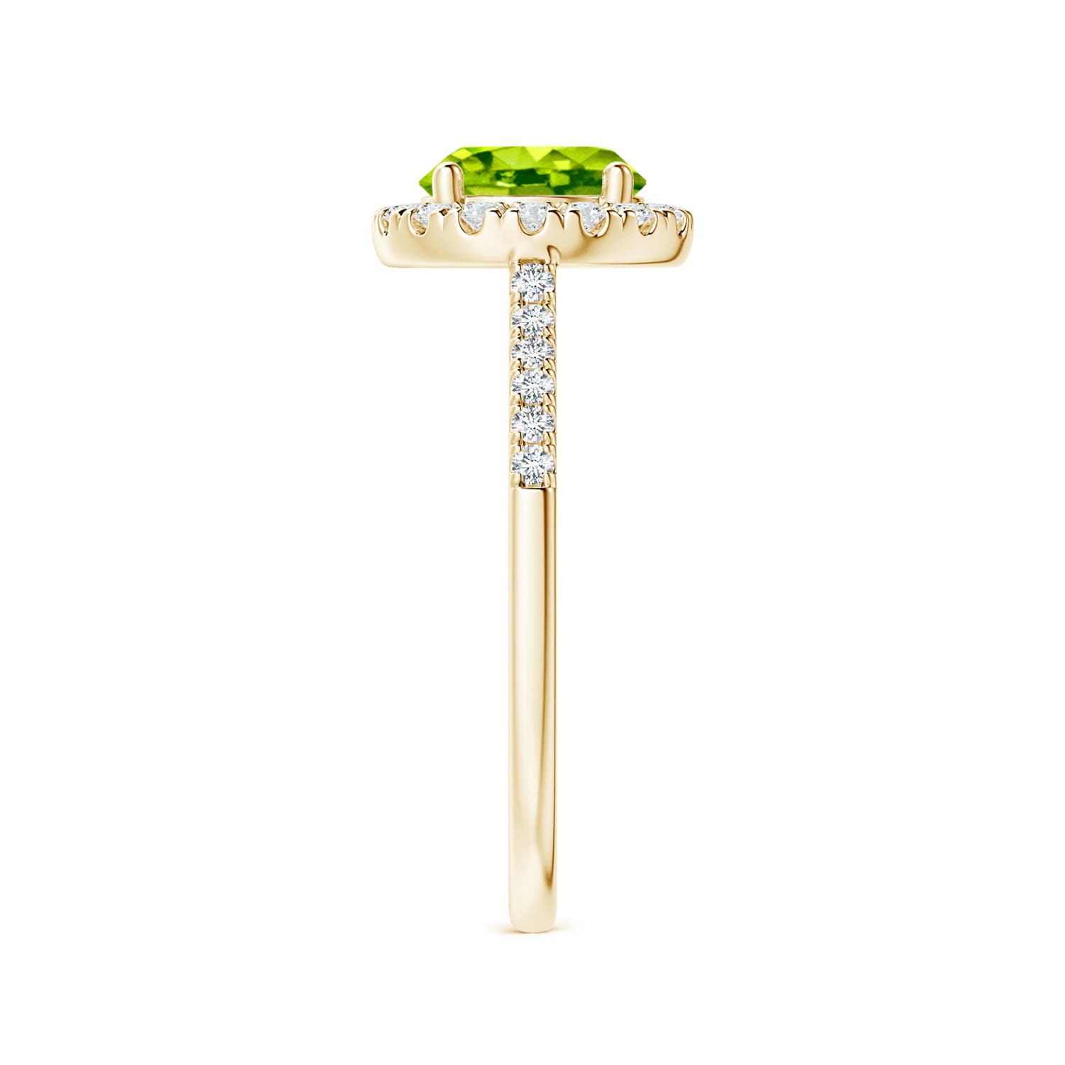 AAA - Peridot / 1.69 CT / 14 KT Yellow Gold