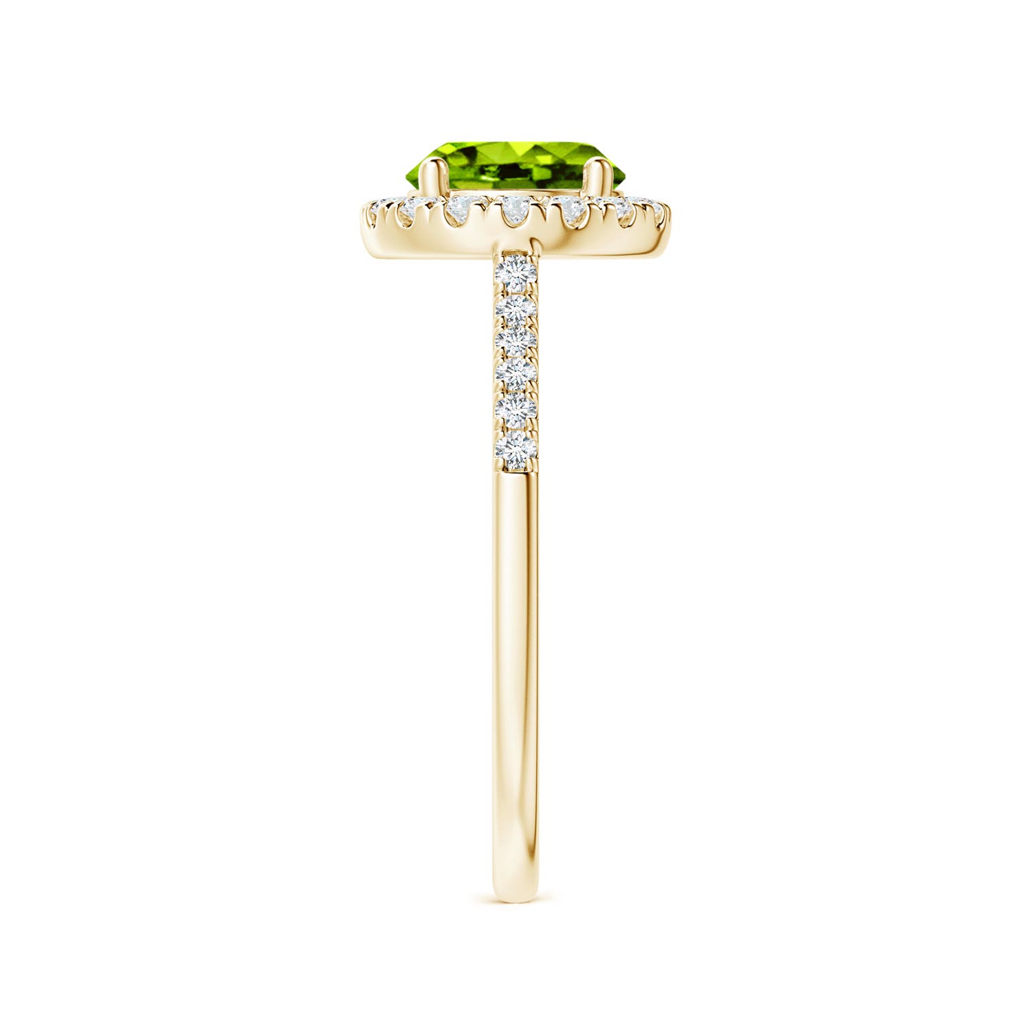 AAAA - Peridot / 1.69 CT / 14 KT Yellow Gold