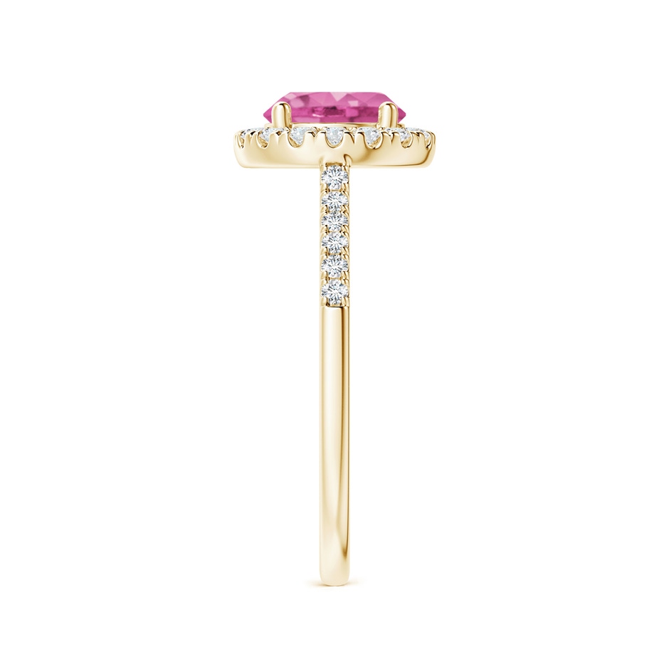 7mm AAA Round Pink Sapphire Halo Ring with Diamond Accents in Yellow Gold side-2