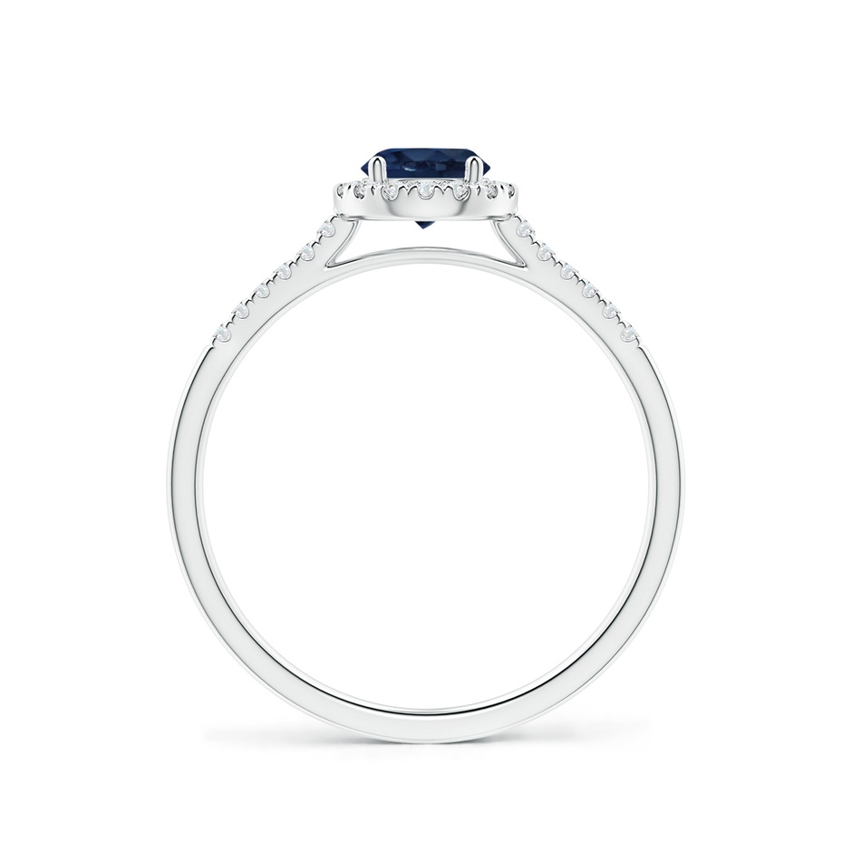 5mm AA Round Sapphire Halo Ring with Diamond Accents in P950 Platinum side-1