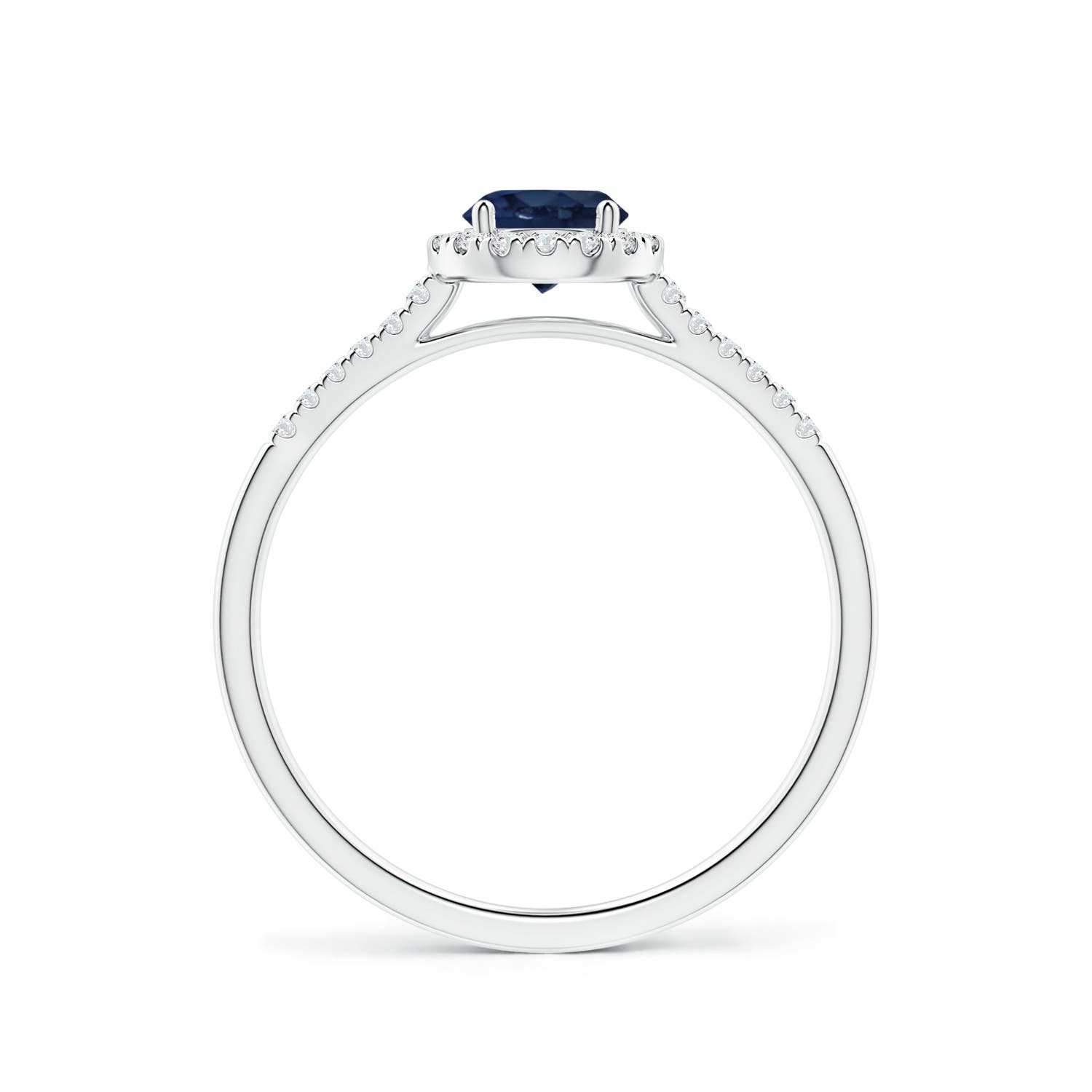 AA - Blue Sapphire / 0.75 CT / 14 KT White Gold