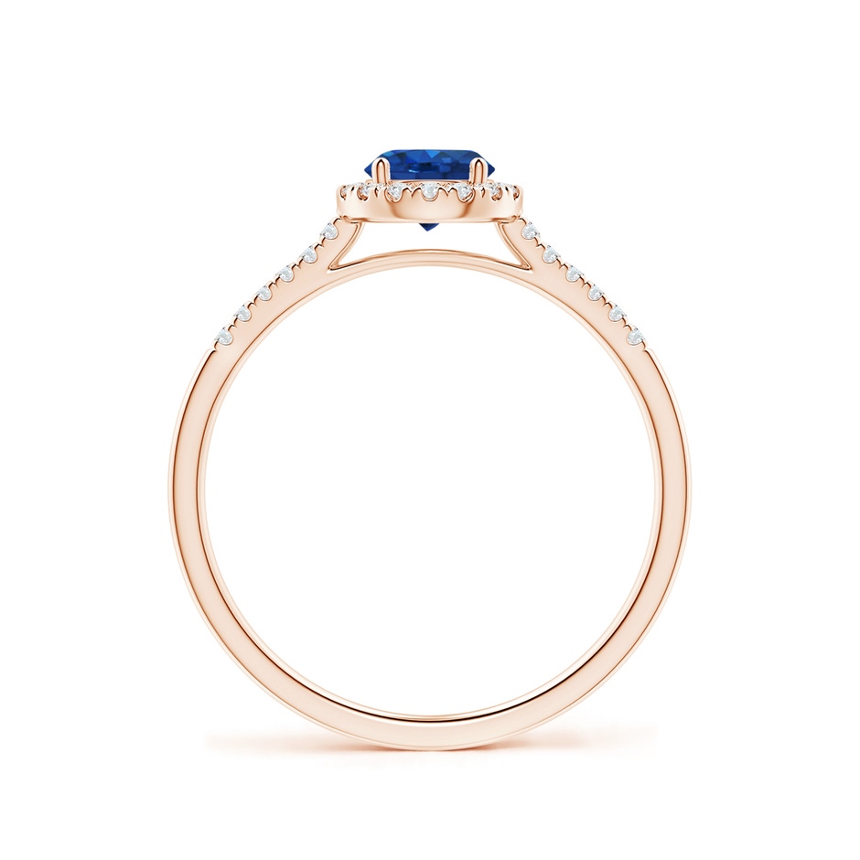 5mm AAA Round Sapphire Halo Ring with Diamond Accents in Rose Gold side-1