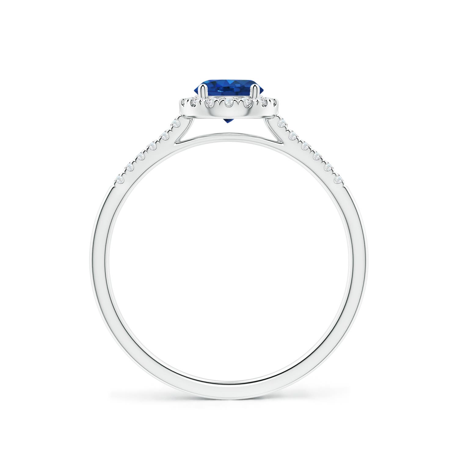 AAA - Blue Sapphire / 0.75 CT / 14 KT White Gold