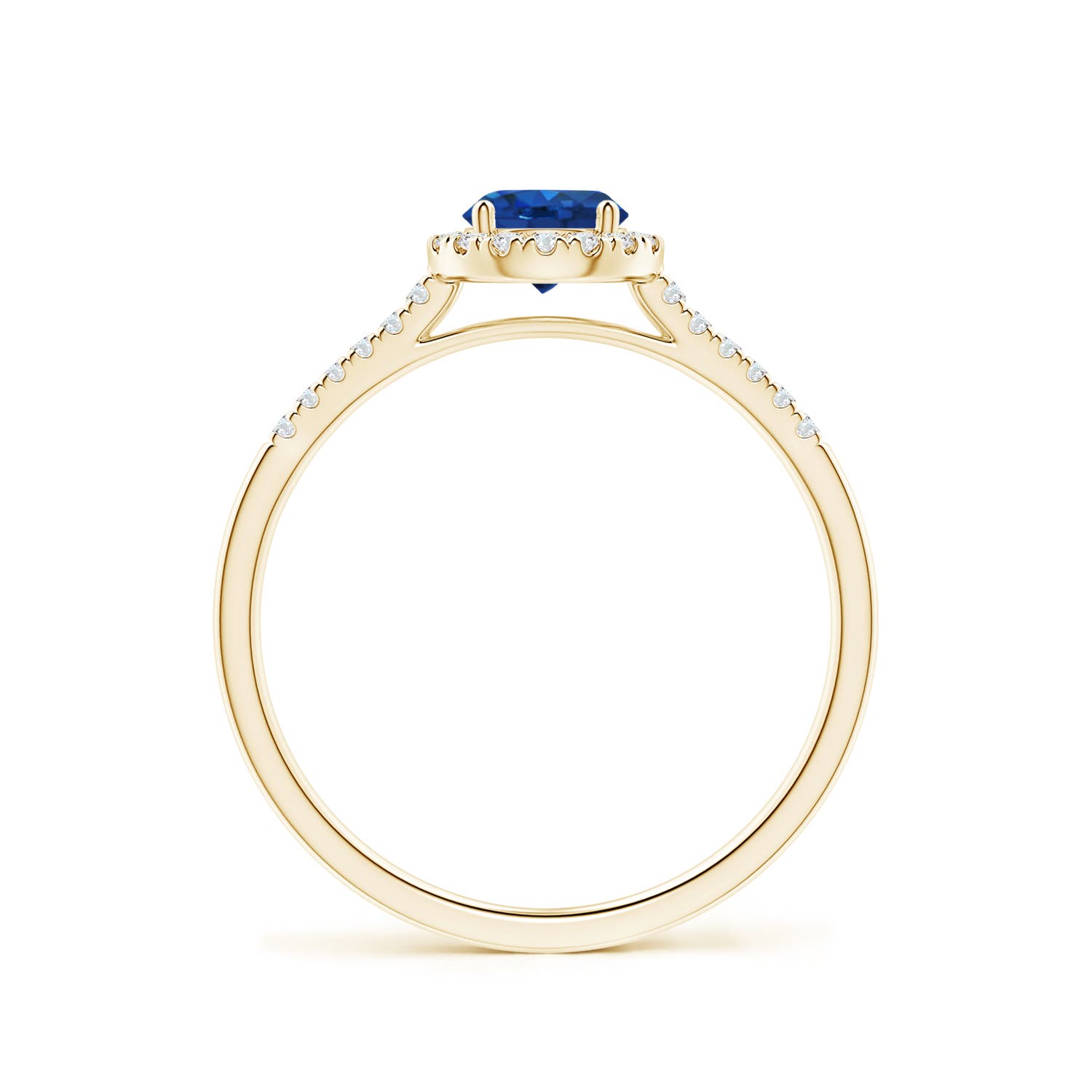 AAA - Blue Sapphire / 0.75 CT / 14 KT Yellow Gold