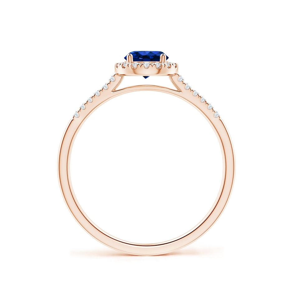 5mm AAAA Round Sapphire Halo Ring with Diamond Accents in 9K Rose Gold side-1