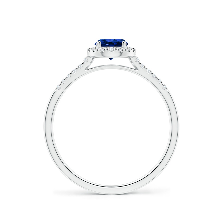 5mm AAAA Round Sapphire Halo Ring with Diamond Accents in P950 Platinum side-1