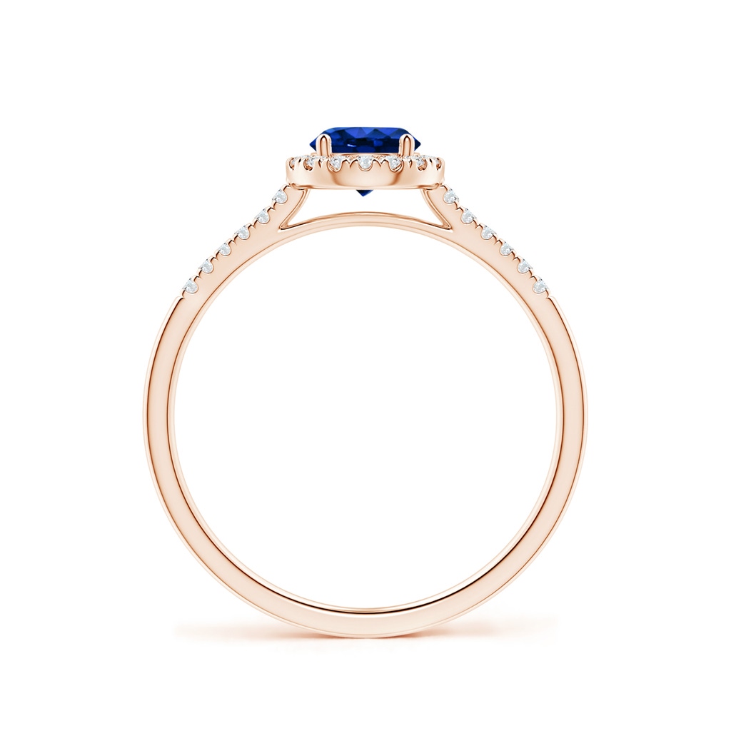 5mm AAAA Round Sapphire Halo Ring with Diamond Accents in Rose Gold Side-1