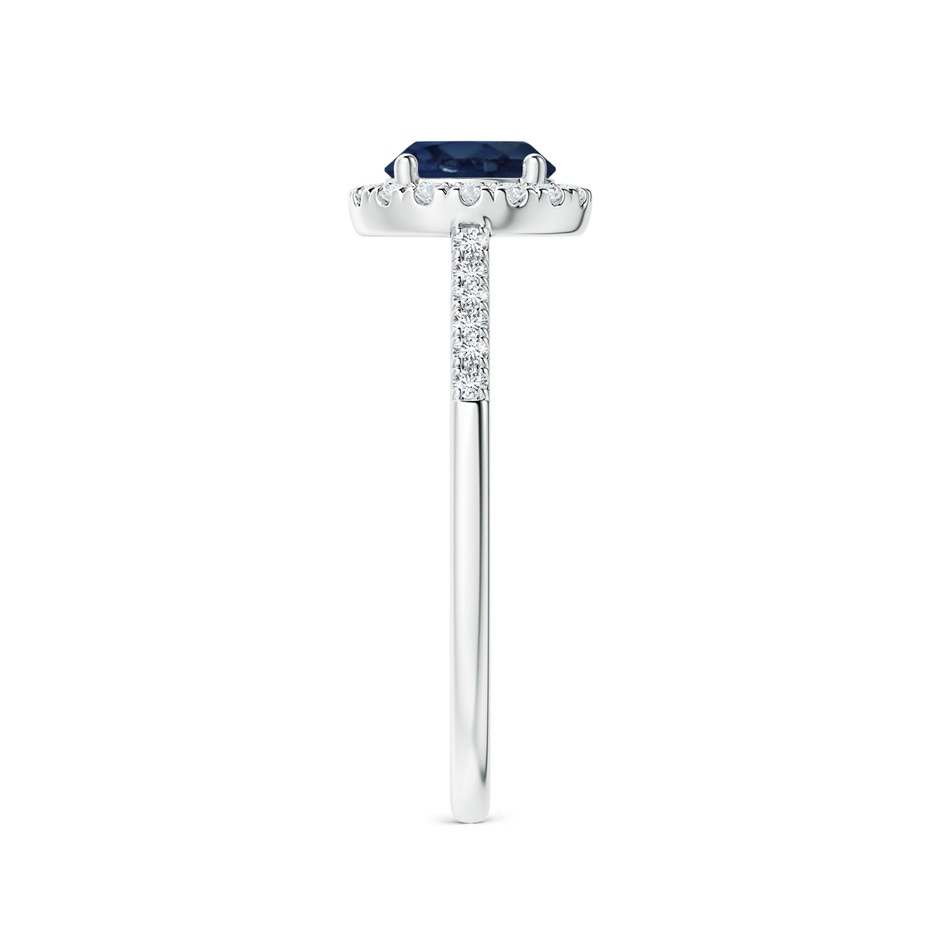 6mm AA Round Sapphire Halo Ring with Diamond Accents in P950 Platinum side-2