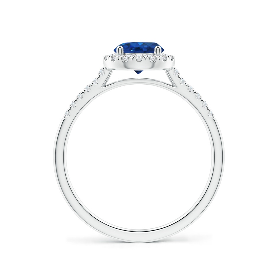 6mm AAA Round Sapphire Halo Ring with Diamond Accents in P950 Platinum side-1