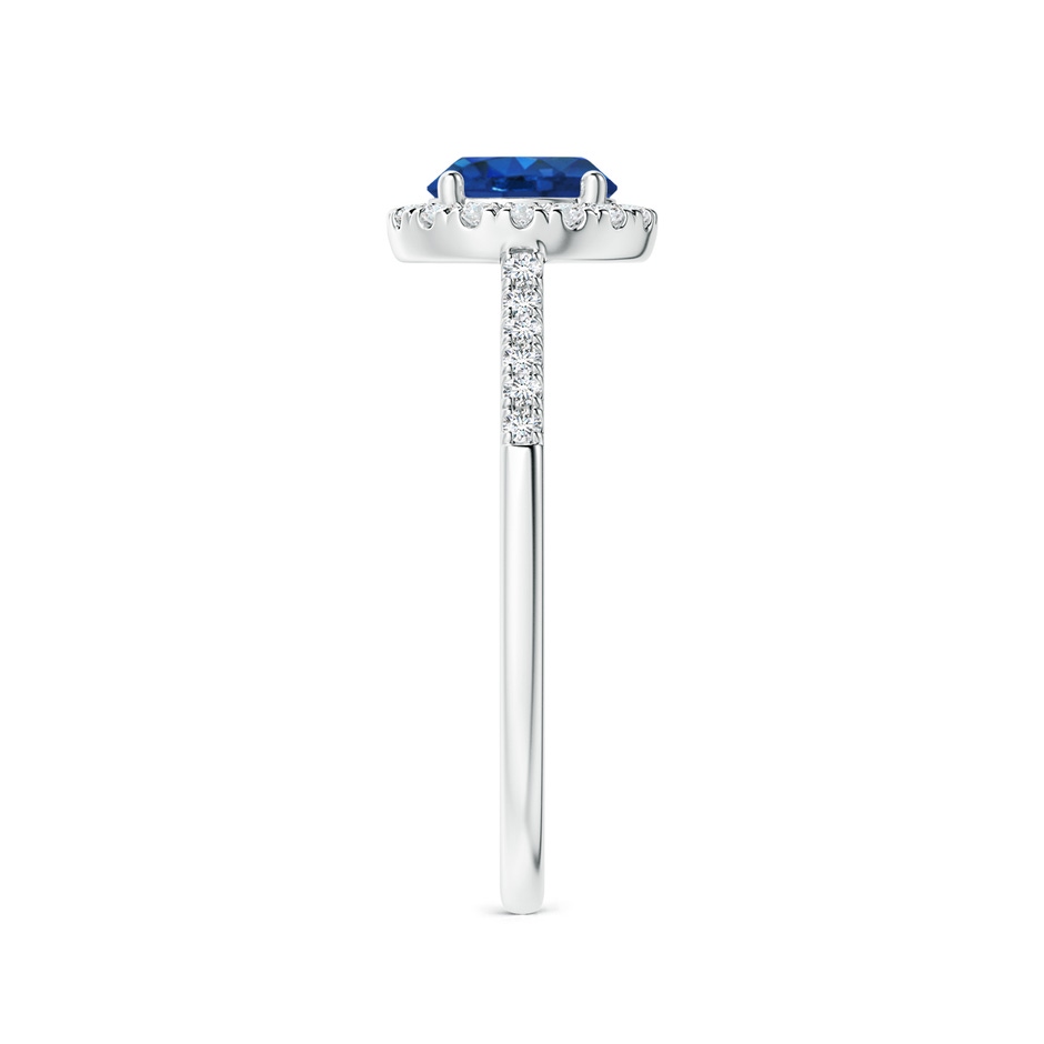 6mm AAA Round Sapphire Halo Ring with Diamond Accents in P950 Platinum side-2
