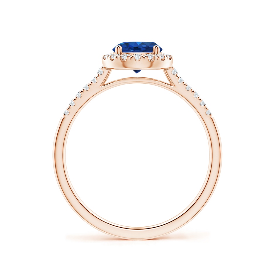 6mm AAA Round Sapphire Halo Ring with Diamond Accents in Rose Gold side-1