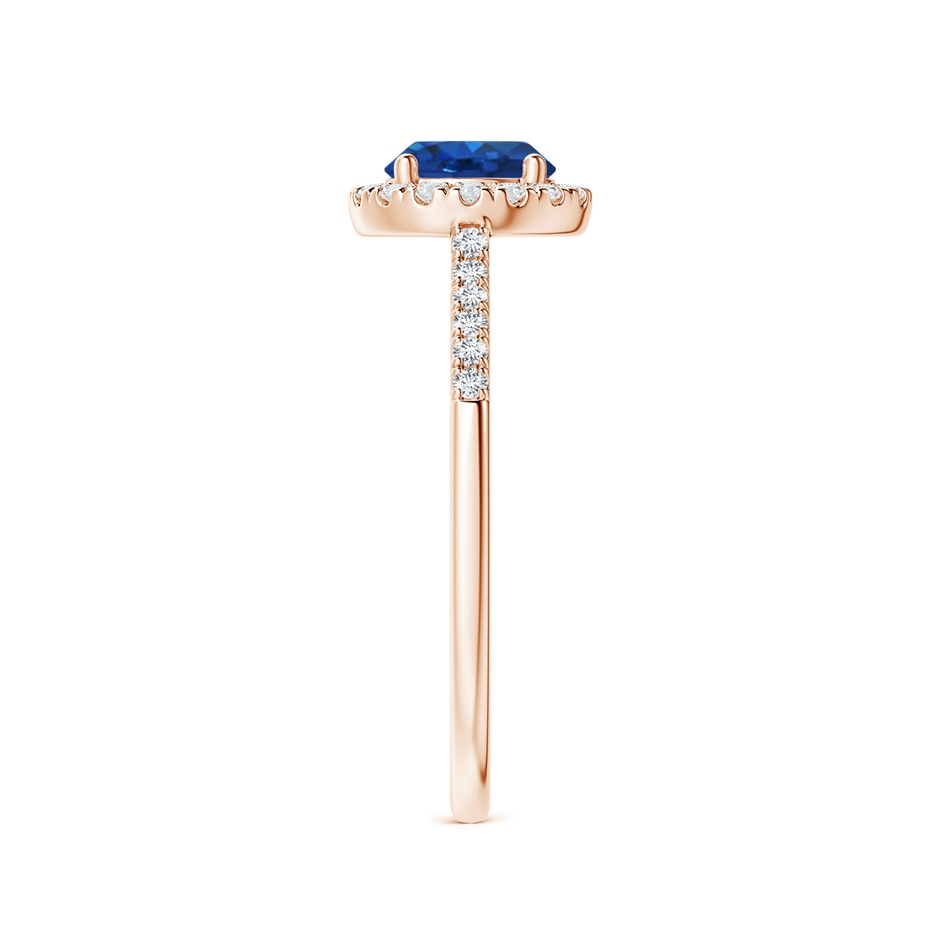 6mm AAA Round Sapphire Halo Ring with Diamond Accents in Rose Gold side-2