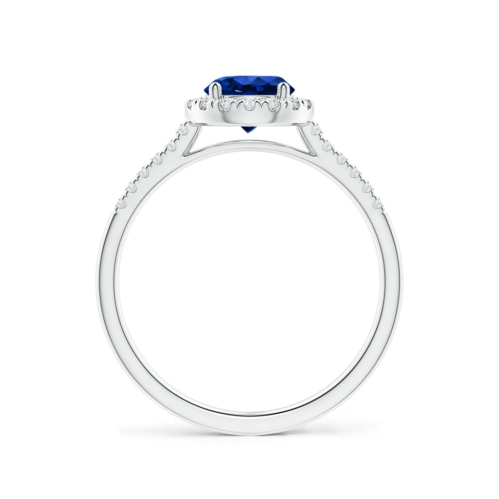 6mm AAAA Round Sapphire Halo Ring with Diamond Accents in P950 Platinum Side-1