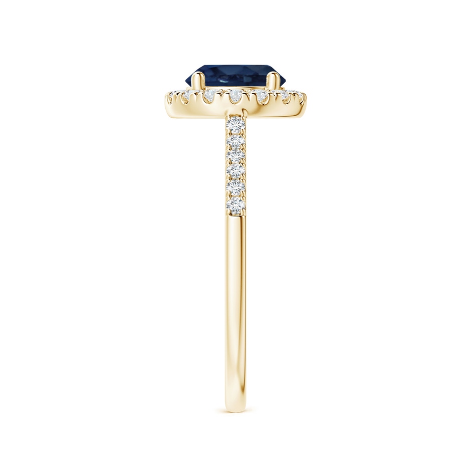 7mm AA Round Sapphire Halo Ring with Diamond Accents in Yellow Gold side-2