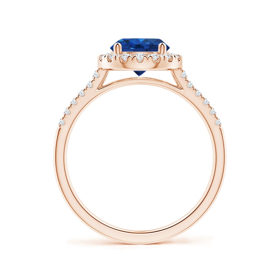7mm AAA Round Sapphire Halo Ring with Diamond Accents in Rose Gold side-1