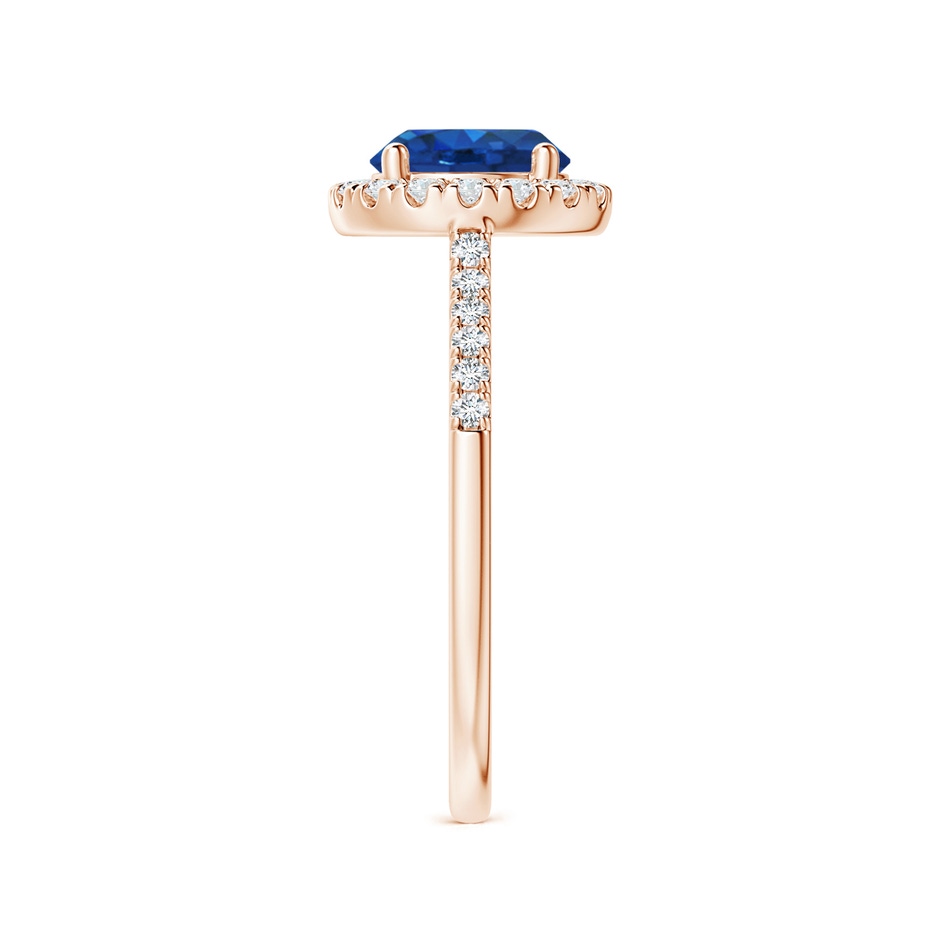 7mm AAA Round Sapphire Halo Ring with Diamond Accents in Rose Gold side-2