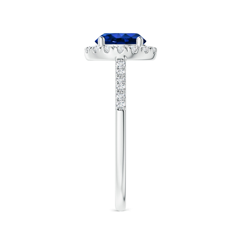 7mm AAAA Round Sapphire Halo Ring with Diamond Accents in White Gold side-2