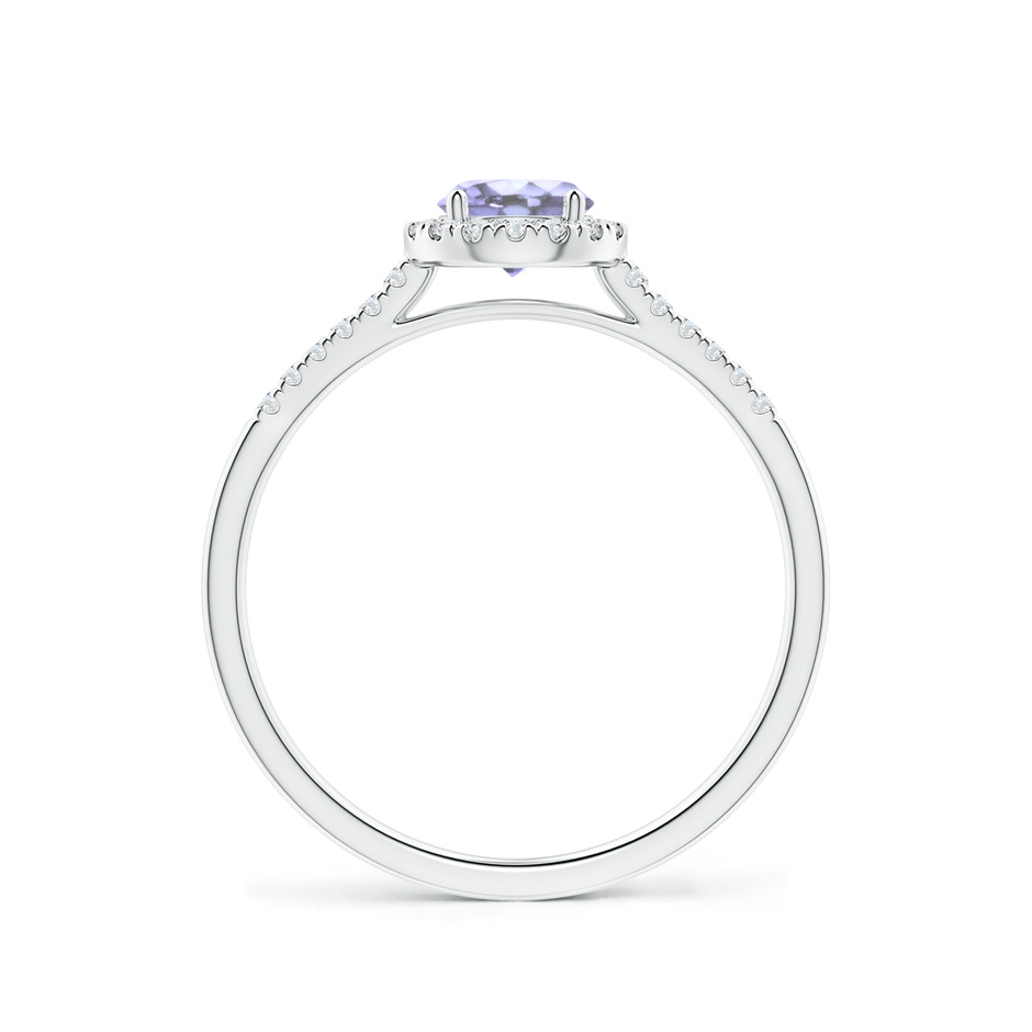 5mm A Round Tanzanite Halo Ring with Diamond Accents in P950 Platinum side-1