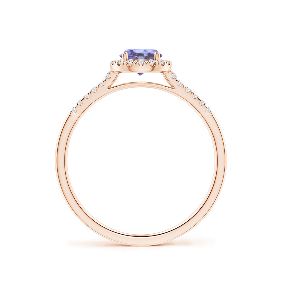 5mm AA Round Tanzanite Halo Ring with Diamond Accents in Rose Gold side-1