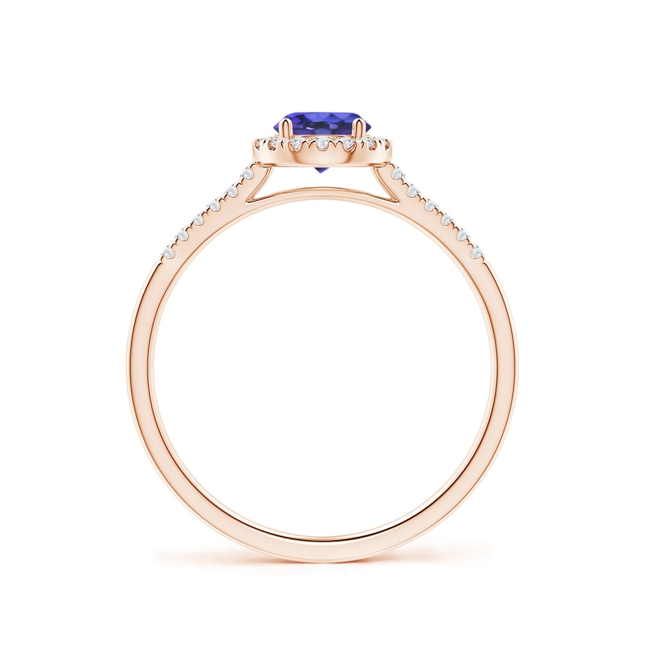5mm AAA Round Tanzanite Halo Ring with Diamond Accents in Rose Gold side-1
