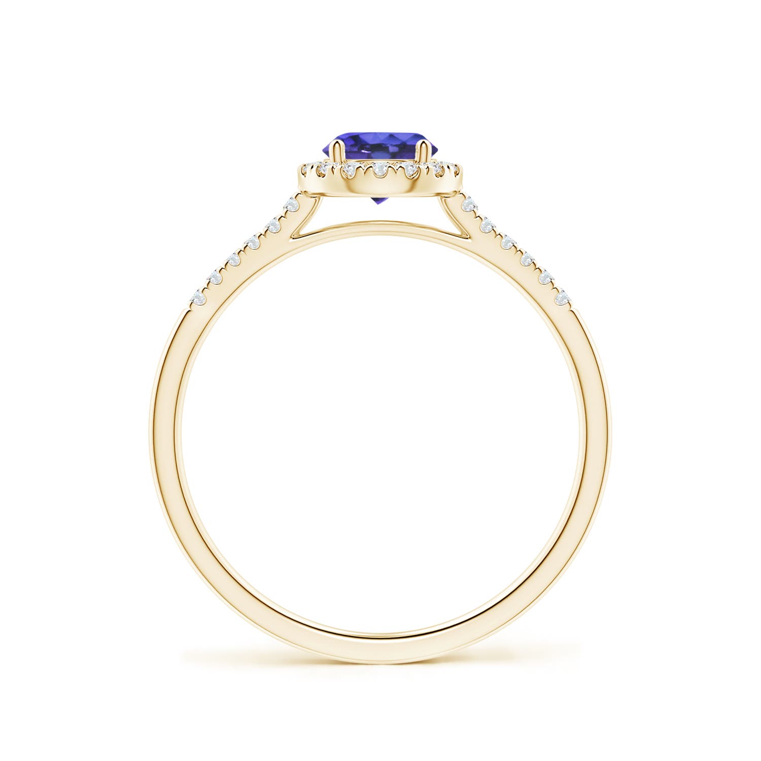 AAA - Tanzanite / 0.65 CT / 14 KT Yellow Gold